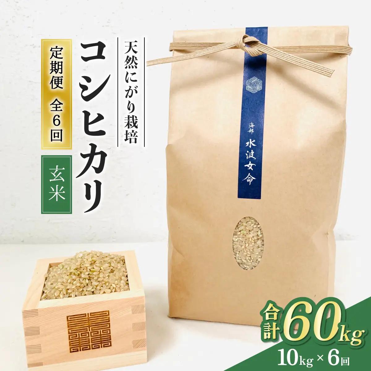 【先行予約】コシヒカリ玄米 【定期便】10kg×３回 30kg 令和8年産 天然にがり栽培 こしひかり【2026年10月以降順次発送】