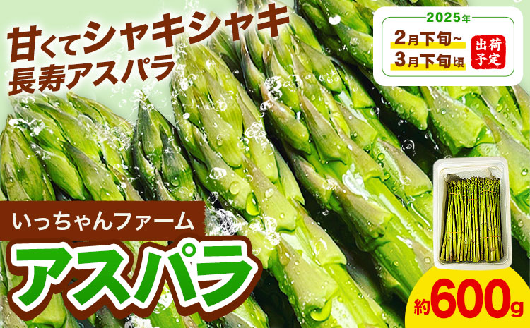 アスパラガス 約600g いっちゃんファーム《2025年2月下旬-3月下旬頃出荷予定》熊本県 氷川町 氷川産 野菜 アスパラガス アスパラ---sh_cichnasp_24_p23_11000_600g---