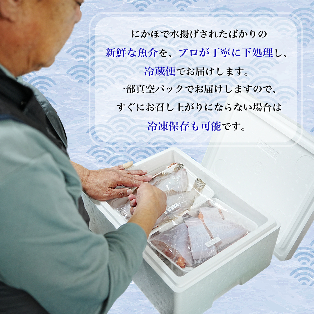 鮮魚 冷蔵 クール便「開けたらすぐ食べられる」下処理済み 海産物 1人前 さとう鮮魚店【一人暮らし 女性 男性 パック 詰め合わせ 海鮮セット 鮮魚ボックス 海鮮 海の幸 魚介 魚介類 切り身 秋田県