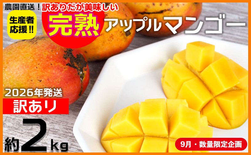 
            【9月・数量限定企画】【2026年発送】生産者応援！！訳ありだが美味しい完熟アップルマンゴー約2kg　農園直送！ 訳アリ 先行予約 沖縄 甘味 糖度 濃厚 美味しい 自分用 おいしい ふるさと納税 とろける甘さ 香り アーウィン 果汁 送料無料 箱入り トロピカル フードロス わけあり ２キロ
          
