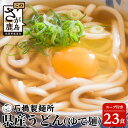 【ふるさと納税】県産うどん(生めん)220g×23袋【合計5.06kg】スープ付 うどん好き集まれ イベントやお裾分けにもおすすめ 【創業90年の匠の技】佐賀県 鹿島市 うどん 饂飩 生めん 生麺 ヌードル 石橋製麺所 お裾分け イベント 業務用 パーティー 大食い 大家族 B-603