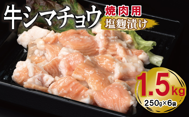 牛シマチョウ 焼肉用 塩麹漬け 合計1.5kg【味付け 小分け 焼くだけ 簡単調理 BBQ 牛肉 ホルモン 250g×6袋】