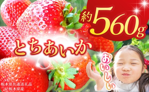 【栃木県共通返礼品】【先行予約】とちあいか 280g×2P| 年始発送 果物 くだもの フルーツ 野菜 やさい ヤサイ 苺 イチゴ いちご とちあいか 新鮮 甘い 数量 限定 美味しい 果物 共通返礼品 フルーツ デザート 栃木県 那珂川町 送料無料