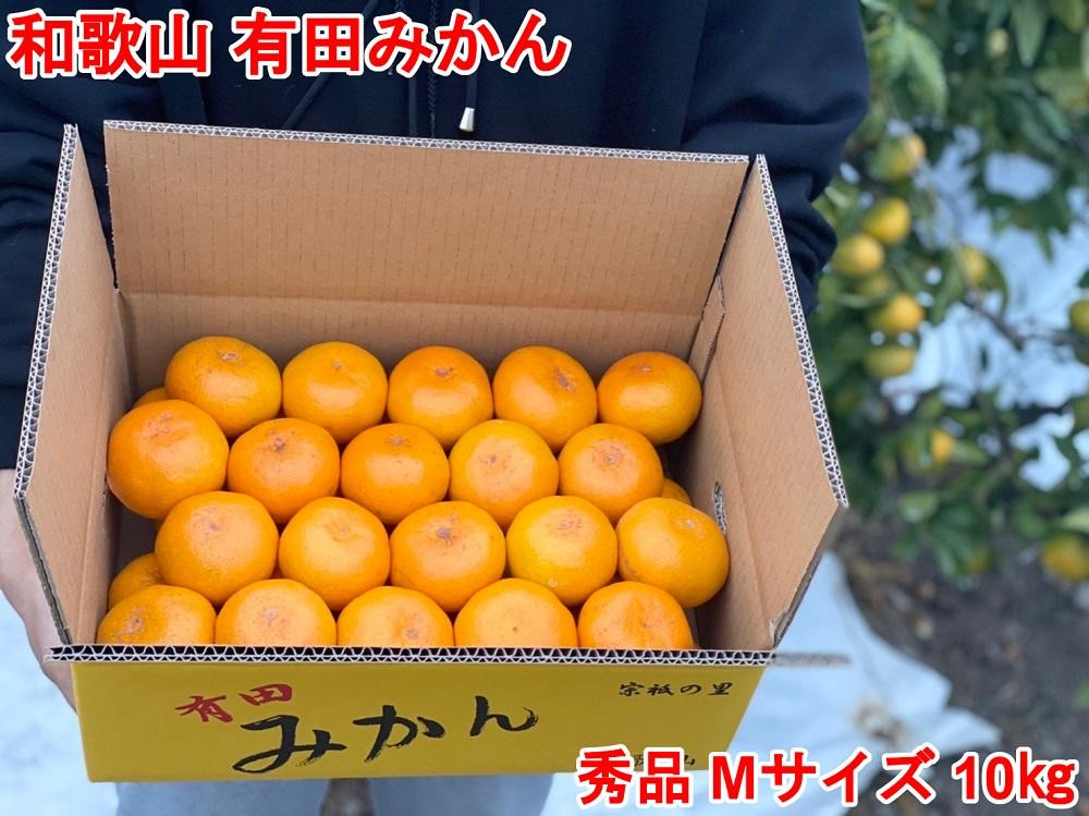
            ［秀品・サイズＭ］和歌山有田産！早生みかん≪10kg≫［予約販売］［数量限定］まる隆果樹園
          