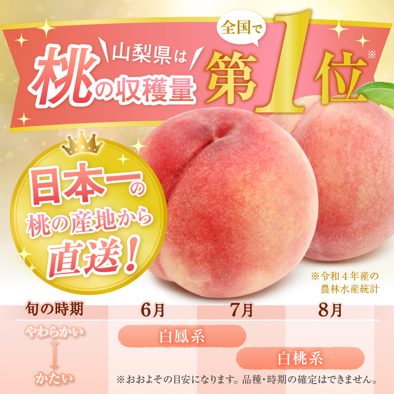 甲州屋厳選 白桃 約3kg【2024年発送】C-192