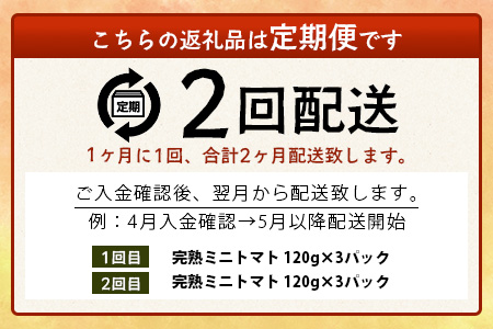 【2回定期便】【先行予約】完熟ミニトマト 【少量パック】120gx3p　たにぐちファーム 完熟ミニトマト 360g とりこになるトマト 野菜 とまと トマト リコピン 佐賀産 佐賀県 鹿島市　C-14