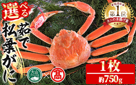 ＜数量限定！11月～3月上旬発送予定＞茹で松葉がに(1枚・約750g) 国産 魚介 海鮮 カニ かに 蟹 松葉ガニ 松葉蟹 ズワイガニ ずわいがに ボイル 冷蔵 【T-DI2】【大山ブランド会】