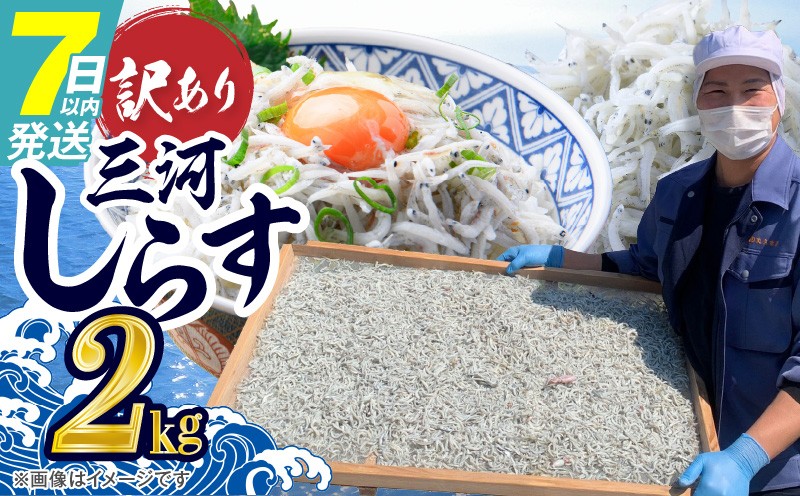 
訳あり モリモリ2kg！バラエティ豊富な三河しらす～海の仲間たち～ 魚介類 しらす シラス 国産 海の幸 ご飯のお供 おつまみ しらす丼 グルメ やみつき 冷凍　H018-040
