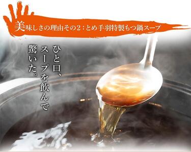 九州名物とめ手羽　博多もつ鍋セット　九州しょうゆ味　5-6人前