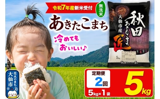 ＜令和7年産 新米受付＞《定期便2ヶ月》米【無洗米】秋田県大仙市産 あきたこまち 精米 5kg 令和7年産