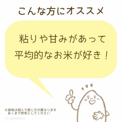 ふるさと納税 碧南市 愛知県産コシヒカリ 5Kg　安心安全なヤマトライス 米 白米 国産 精米 H074-657 |  | 02