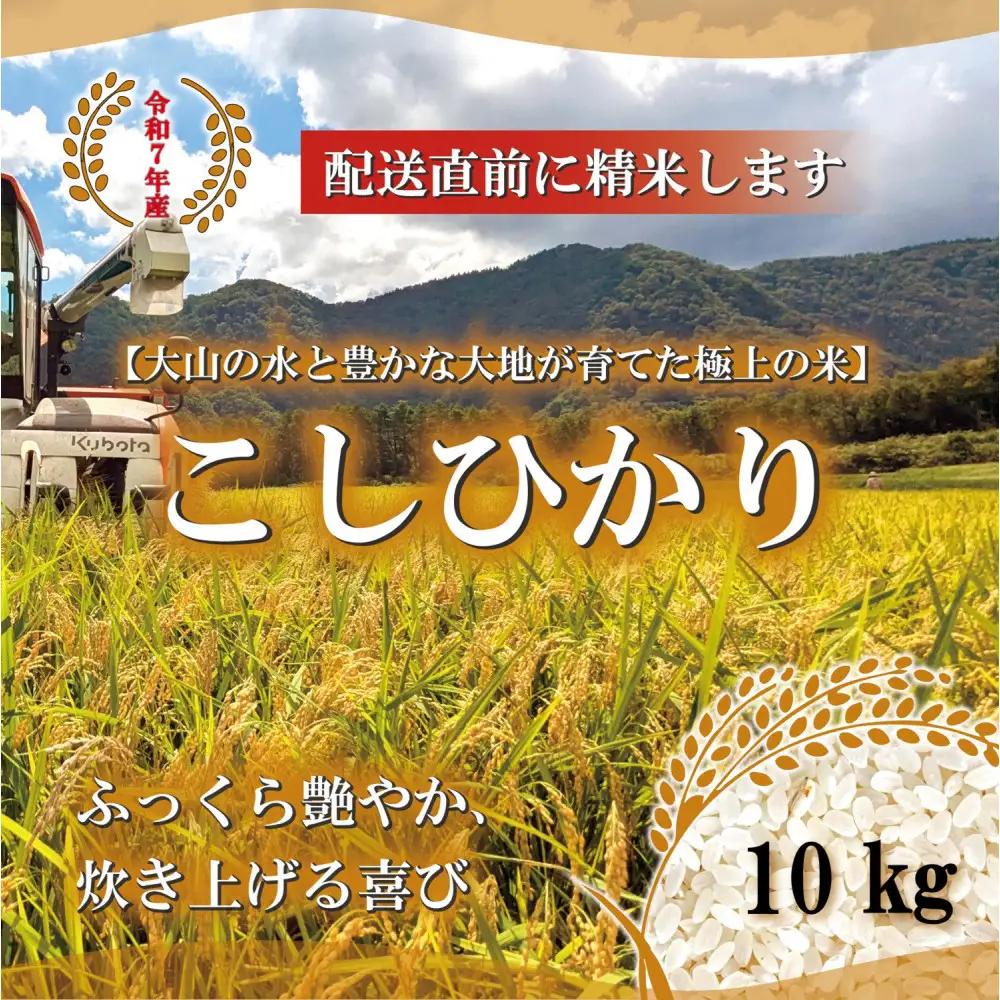 1085.令和7年産　山崎農園こしひかり精米　10kg