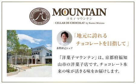 洋菓子マウンテン　杏と塩 / スイーツ 洋菓子 チョコレート ショコラ ショコラティエ 世界大会 総合優勝 ミルクチョコレート 杏 フルーティ 死海の塩 5個入 ギフト プレゼント 福知山市 京都府 