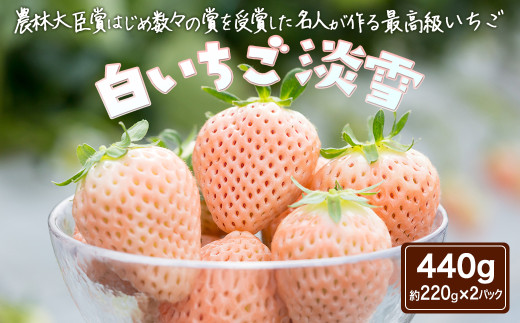 【期間限定】白いちご 淡雪440g［A0048-0001］