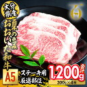 【ふるさと納税】百年の恵み おおいた和牛 A5 ステーキ用 厚切り 厳選部位 (計1.2kg・300g×4枚) 国産 牛肉 肉 霜降り ロース 肩ロース サーロイン 和牛 ブランド牛 ステーキ 冷凍 【FS11】【 (株)トキハインダストリー】