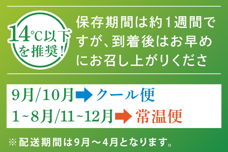 ★訳あり★河野農園自慢の新鮮長ねぎ(規格外) 約3kg｜長ネギ 長ねぎ ネギ ねぎ 葱 野菜 やさい 訳あり わけあり 訳アリ 野菜 新鮮 規格外 茨城県 行方市(HW-1)