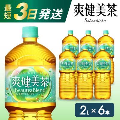 ふるさと納税 三原市 爽健美茶 PET 2L×6本(1ケース) [014-062]