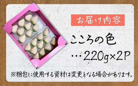 【先行予約】新品種  白石町産 白いちご 「こころの色」 220g×2パック 【鐘ヶ江農園】[IBH016]