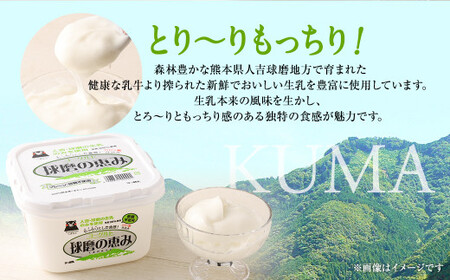 とろ～り食感!!球磨の恵みヨーグルト 砂糖不使用タイプ 1kg×3パック