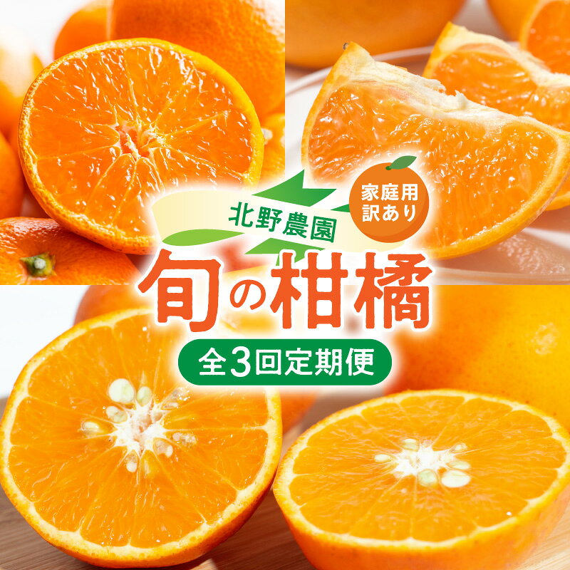 【ふるさと納税】北野農園 旬 柑橘 定期便 訳あり 家庭用 全3回 和歌山ブランド 有田みかん せとか セミノール みかん オレンジ 果物 フルーツ デザート 農家直送 傷あり お取り寄せ 和歌山県 湯浅町 送料無料
