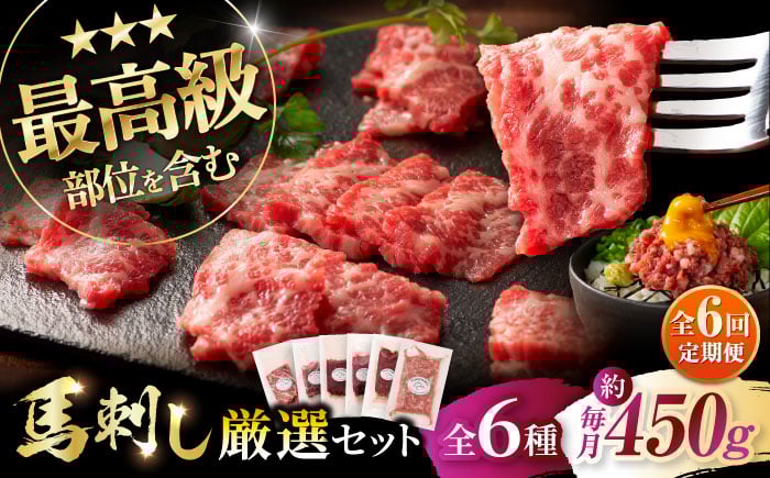 
            【全6回定期便】「熊本特産」馬刺し専門店厳選の6種セット 3893 / 特産 熊本県 菊陽町 ばさし 馬刺 専用 たれ ランプ トロ 新鮮 祝い ご褒美 脂 旨【株式会社フジチク】 [BHAD073]
          