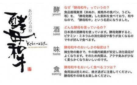 牛肉 あだたら酵母牛サーロイン ステーキ用600g（200g×3枚） 牛肉 牛肉 牛肉