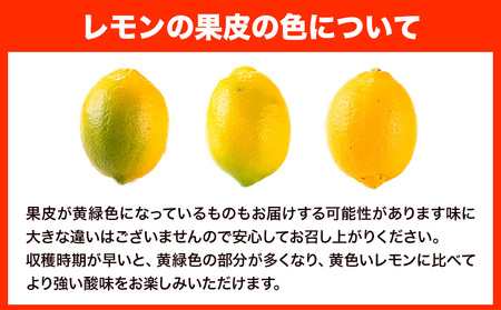 レモン 約2kg と 手搾り100％レモン果汁 1本 セット《12月中旬‐2月末頃出荷》 【日付指定不可】 菅本果実園