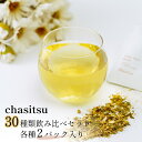 【ふるさと納税】chasitsuの紅茶・ハーブティー30種類飲み比べセット | 紅茶 ハーブティー ティーパック 30種類 人気 お試し セット 洋なし緑茶 桃 ローズヒップティー 季節 お茶 緑茶 茶 くつろぎ ブレンド プレゼント ギフト 贈り物 山口県 宇部市