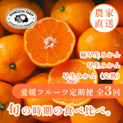 【ふるさと納税】【発送月固定定期便】時期による味の違いを楽しむ【各3kgコース/各5kgコース】【G4067807】