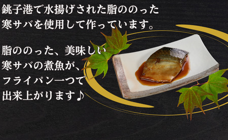 国産サバ 切身 タレ漬け 4パック 煮魚用 さば 鯖 タレ漬け さばタレ漬け 鯖タレ漬け 切身 煮魚 簡単調理 調理 かんたん 簡単 冷凍 冷凍食品 無添加 新鮮 地魚 海鮮 魚介 魚貝 魚 おかず 