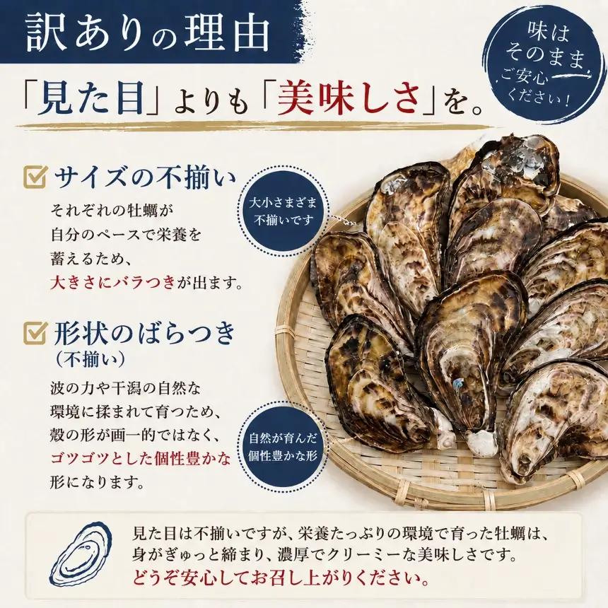【訳あり】殻付き真牡蠣 1.2kg | かき 真牡蠣 生食用 殻付き 海鮮 魚介 海のミルク おつまみ おかず 訳あり 家庭用 大分県 中津市