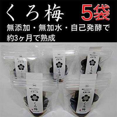 ふるさと納税 若狭町 とてもすっぱい、熟成無塩の「くろ梅」5袋セット(紅映梅を使用)