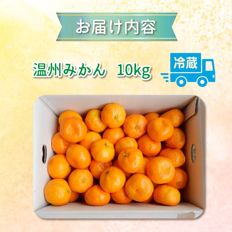  みかん 温州みかん 10kg 先行予約 10月より順次発送 旬 柑橘 蜜柑 ミカン オレンジ orange フルーツ 果物 くだもの 温州 国産 季節限定 産地直送 静岡県産 横山商店 静岡県 伊豆