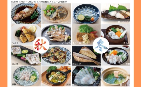 定期便 2回 鮮魚 刺身 煮魚 揚物 冷凍 真空 小分け サカナ DIY 料理 ミール キット 2人前 2種 2ヶ月 計 4食 下関 山口 CX204
