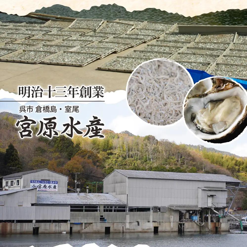  倉橋かえり500g 宮原水産 カタクチイワシ 煮干し カルシウム