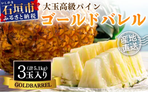 ＜先行予約＞ 石垣島産 ゴールドバレルパイン 大玉3個入り 約5.1kg ＜2026年7月以降発送＞ | 産地直送 沖縄 石垣 フルーツ パイナップル パイン ゴールドバレルパイン SI-40