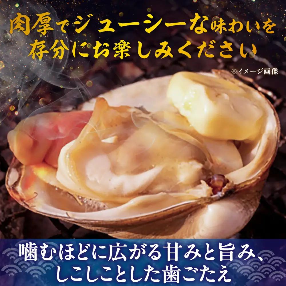 【2026年7月中旬以降順次発送再開】活ほっき貝 4kg 約14〜24個【鵡川漁業協同組合】ホッキ 冷蔵発送 [AXAL006]