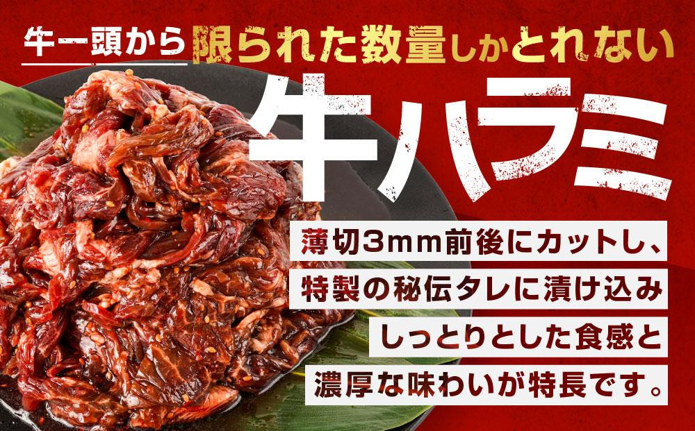 訳あり 秘伝タレ漬け牛ハラミ(サガリ)薄切 500g×3袋 合計1.5kg（タレ込み） 【 牛肉 お肉 焼肉 焼き肉 やきにく タレ 漬け 付き 味付き にく 小分け 個包装 冷凍 セットアウトドア キャンプ 人気 大容量 大量 北海道 詰め合わせ 詰合せ 簡単調理 焼くだけ ハラミ 牛ハラミ お取り寄せ 旭川市 北海道 】_04286