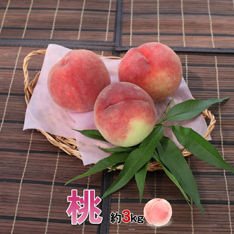 【ふるさと納税】 山梨県南アルプス市産 桃 3Kg 8〜12玉 ふるさと納税 桃 もも 果物 フルーツ 桃3kg おすすめ 山梨県 南アルプス市 送料無料 ALPBV003