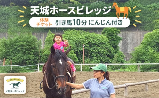 
天城ホースビレッジ 施設利用券 引き馬10分（にんじん付き） [№5227-0008]
