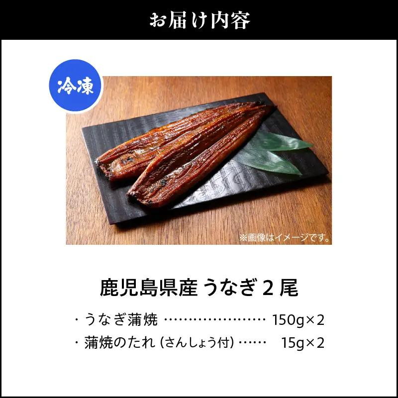 【 土用の丑の日特集 】鹿児島県産 うなぎ 2尾 KN180-002 ウナギ 鰻 魚