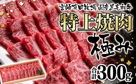 黒毛和牛　特上おまかせ焼肉極み300g　宮崎有田牧場　EMO牛　国産牛肉＜1.1-40＞