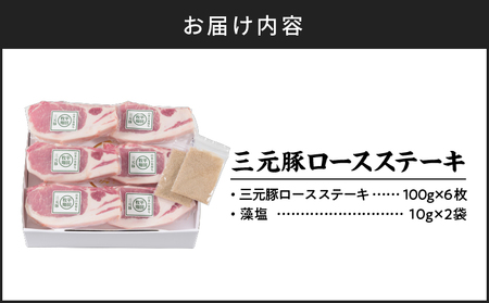 日本の米育ち平田牧場 三元豚ロースステーキ 100g×6（計600g）　T036-012 肉 お肉 にく 食品 苫小牧市産 人気 おすすめ 送料無料 ギフト