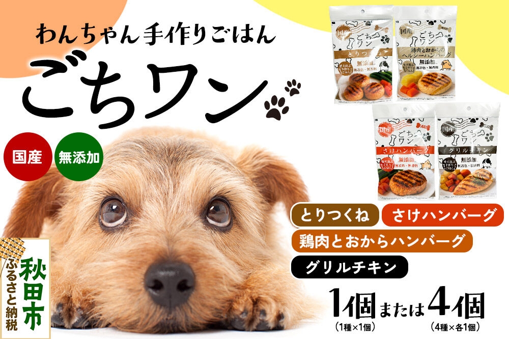
                  わんちゃん手づくりごはん「ごちワン」レトルト【選べる：とりつくね／鶏肉とおからのヘルシーハンバーグ／さけハンバーグ／グリルチキン／4種セット】国産 ドッグフード 無着色・無香料 [犬のごはん 犬のご飯 国産 ペット用 ペットフード]
                