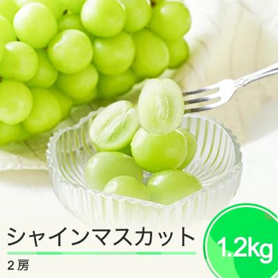 ふるさと納税 大石田町 ぶどう シャインマスカット 秀品 600g×2房 令和7年産 2025年産 ns-busmx1200
