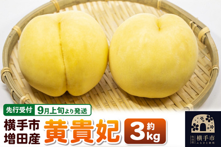 【先行受付】9月上旬より発送 横手市増田産の桃（黄貴妃）約3kg