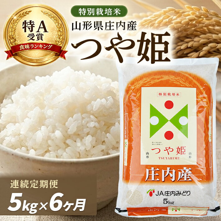 【ふるさと納税】≪6ヶ月定期便≫ 特別栽培米 つや姫 5kg×6ヶ月 計30kg 山形県庄内産 ご希望期間の毎月下旬頃にお届け 東北 酒田市 庄内地方 庄内平野 お米 精米 白米 ブランド米 庄内米 ごはん ご飯 農協 JA 産地直送