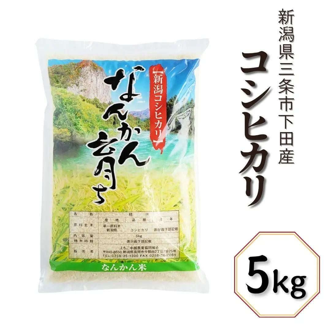 新潟県産 コシヒカリ 5kg 精米 三条市下田 令和7年 コシヒカリ