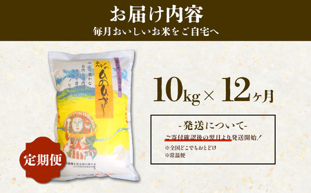 【令和7年産】【年間定期便】 えびの産 ひのひかり 10kg×12ヶ月 合計120kg お米  精米 白米 ご飯 国産 宮崎県産 九州産 送料無料こめ おにぎり お弁当