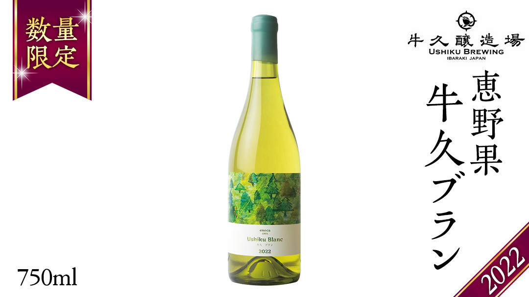 
                  恵野果 牛久ブラン 2022 750ml×1本 茨城県産 茨城県産 牛久醸造場 日本ワイン ワイン  白ワイン 750ml ミディアムボディ お酒 贈り物 葡萄 ぶどう クリスマス
                
